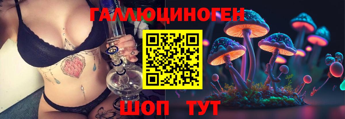 Псилоцибиновые грибы Psilocybine cubensis Королёв